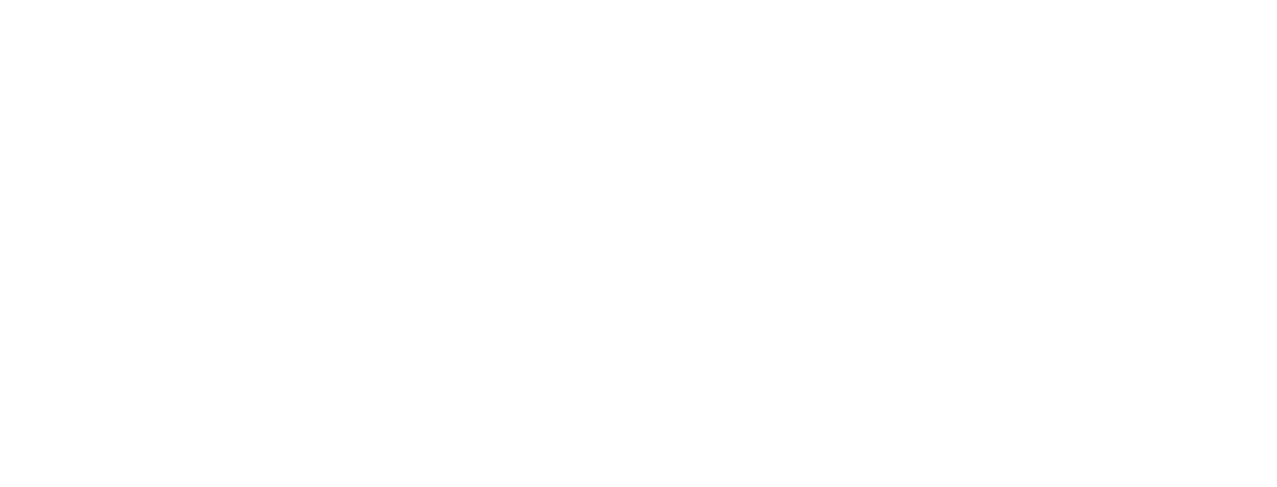 TGOfilmes — Cinema de Casamento